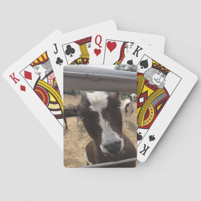 Goat Playing Cards (Back)