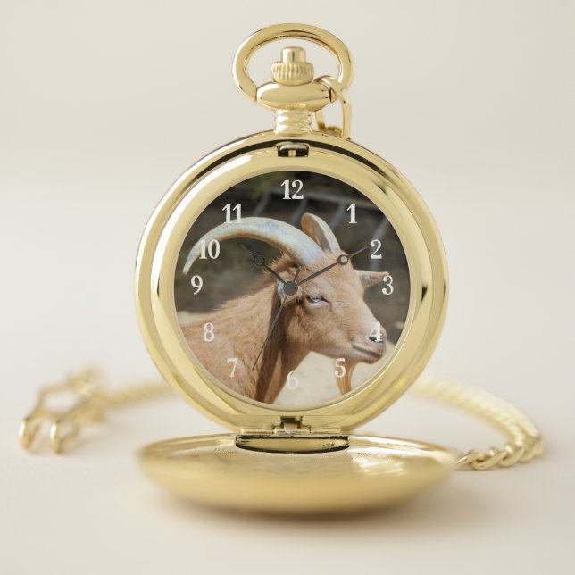 Goat Pocket Watch (Inside)
