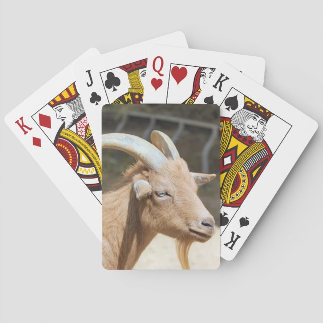 Goat Poker Cards (Back)