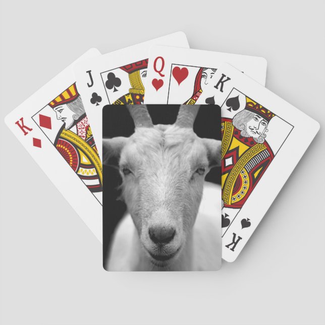 goat poker cards (Back)