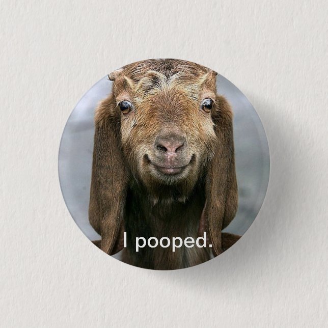 Goat pooping. pinback button (Front)