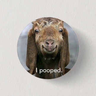 Goat pooping. pinback button