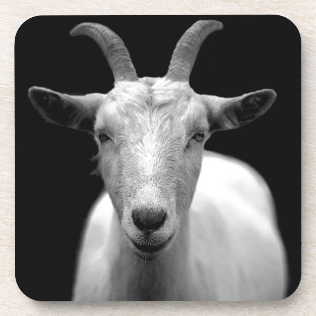 Goat portrait in black and white beverage coaster (Front)