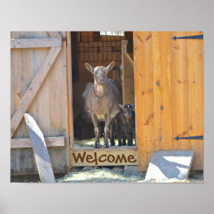 Goat Poster