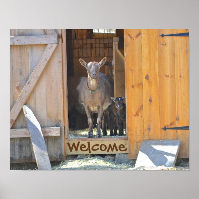 Goat Poster (Front)