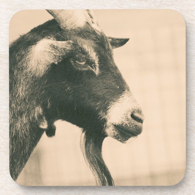 Goat Profile Beverage Coaster (Front)