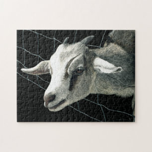 Goat Puzzle - "The Grass is Always Greener"