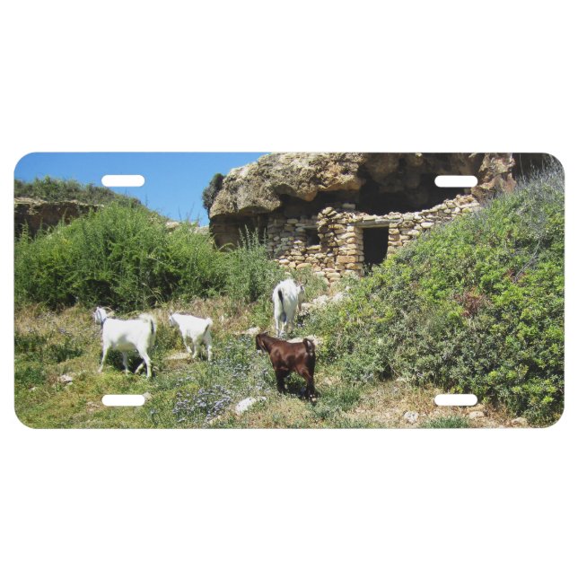 Goat Retreat License Plate (Front)