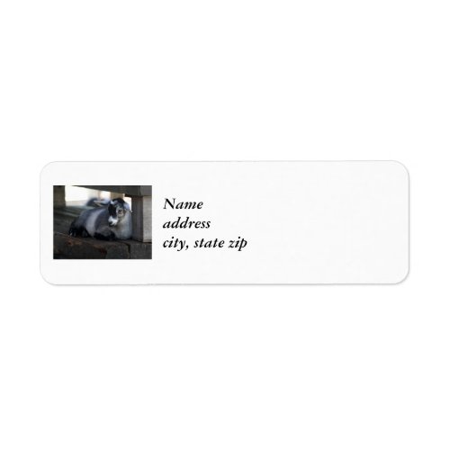 Goat Return Address Labels