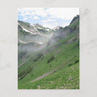 Goat Rocks Wilderness Postcard