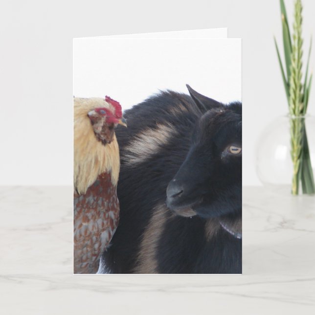 GOAT &ROOSTER FRIENDS IN SNOW CARD (Front)
