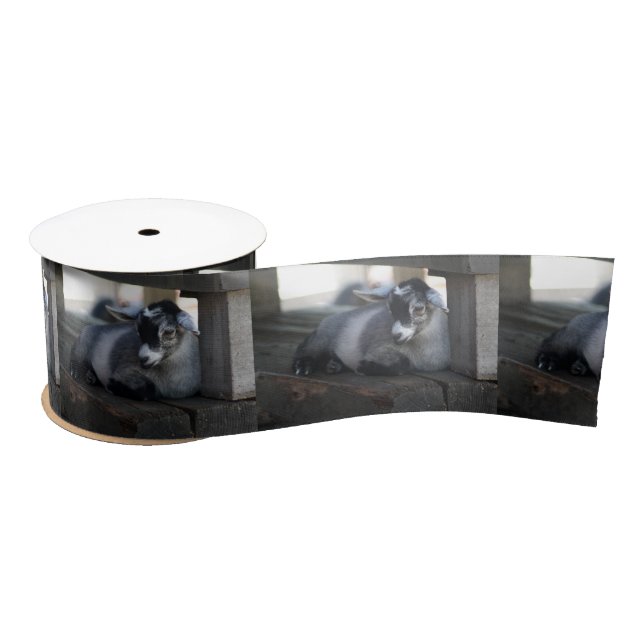 Goat Satin Ribbon (Spool)