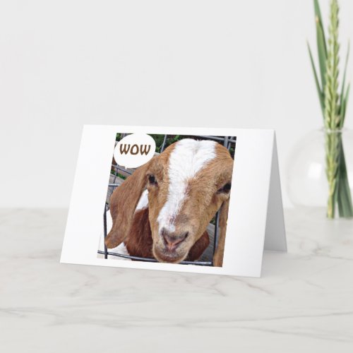 GOAT SAYS WOW LOOK WHAT YOU HAVE DONE CARD