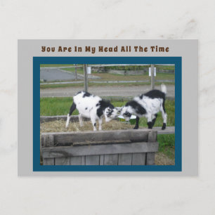 Goat Sense Post Card