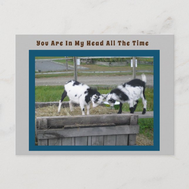 Goat Sense Post Card (Front)