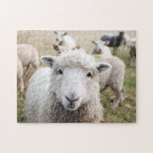Goat Sheep Wild Life Animals Family Field Nature Jigsaw Puzzle