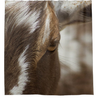 Goat Shower Curtain