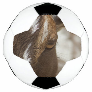 Goat Soccer Ball
