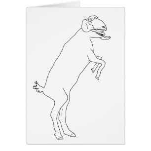 Goat Standing up Illustration Funny Simple Animal Cards