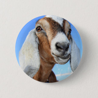 Goat star 1.jpg button