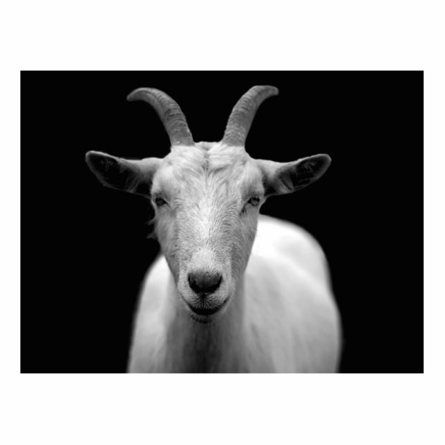 Goat Statuette (Front)