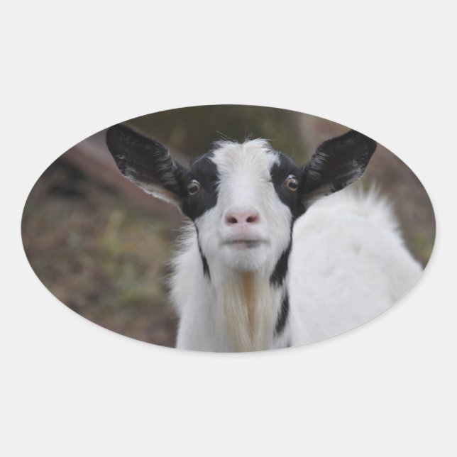 Goat Sticker (Front)