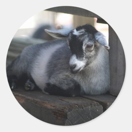 Goat Sticker