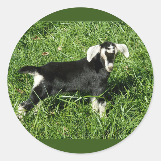 Speed Goat Sticker Goat Stickers set of 20 | Zazzle