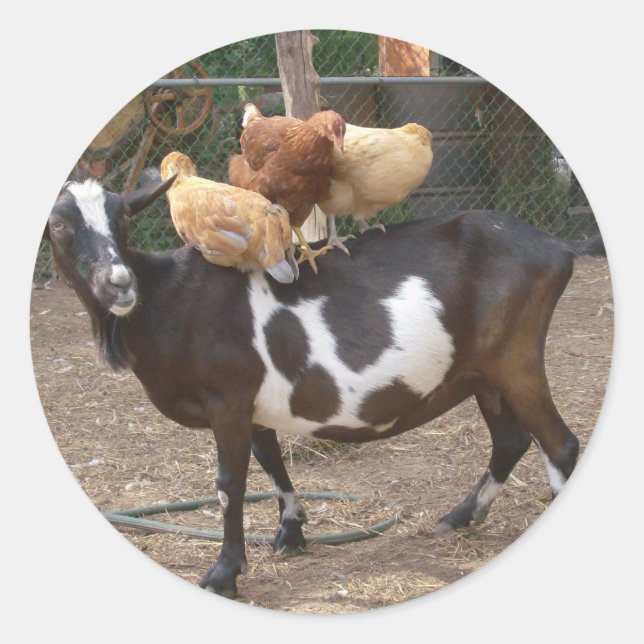 Goat taxi classic round sticker (Front)