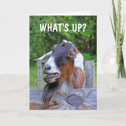 Goat Thinking Of You Card