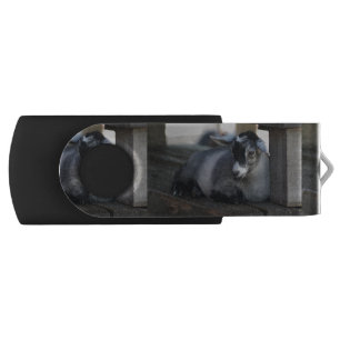 Goat USB Flash Drive