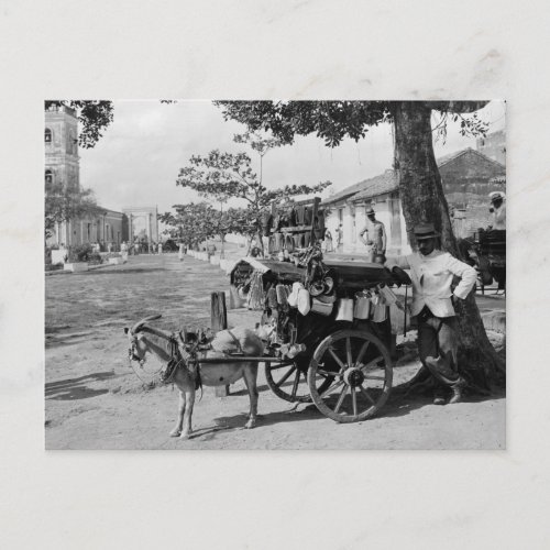 Goat Wagon Peddler Cuba 1920 Postcard
