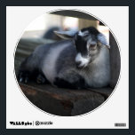 Goat Wall Sticker<br><div class="desc">From a photo taken of a black and gray goat laying down by Brenda Thour. Copyright by Brenda Thour.</div>