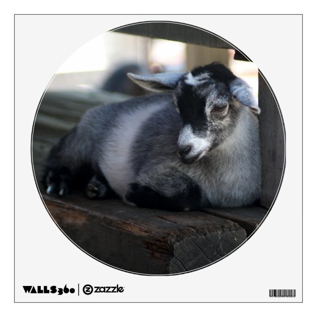 Goat Wall Sticker (Front)