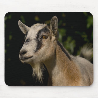 Goat Watching Mouse Pad