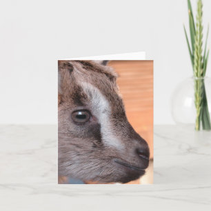 Goat Watching Television Card