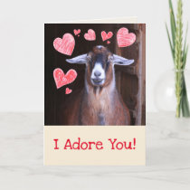 Goat With A Crush Valentine's Day Holiday Card