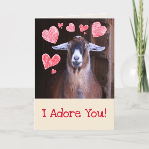 Goat With A Crush Valentines Day Holiday Card