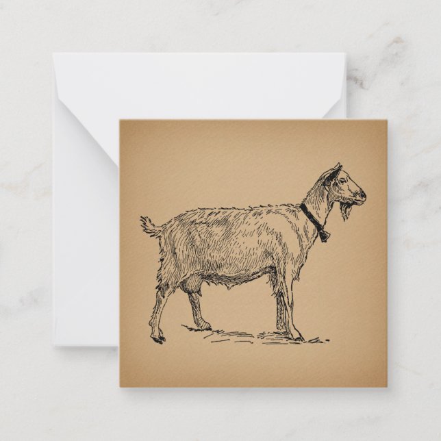 Goat with Bell Illustration Antique Aged Brown Note Card (Front)