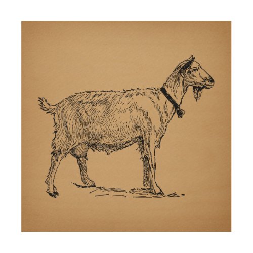 Goat with Bell Illustration Antique Aged Brown Wood Wall Art