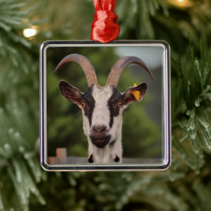 Goat with Horns Standing up against Fence Metal Ornament