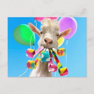 Goat with Party Blowers Postcard