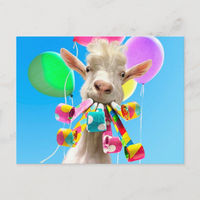 Goat with Party Blowers Postcard (Front)