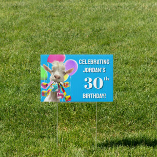Goat with Party Blowers Sign