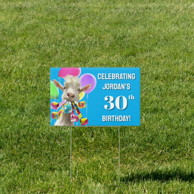 Goat with Party Blowers Sign (Insitu)