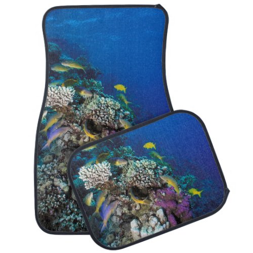 Goatfish Swarm Around Small Coral Car Floor Mat