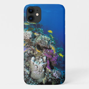 Goatfish Swarm Around Small Coral iPhone 11 Case