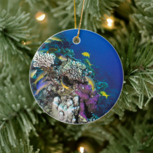 Goatfish Swarm Around Small Coral Ceramic Ornament