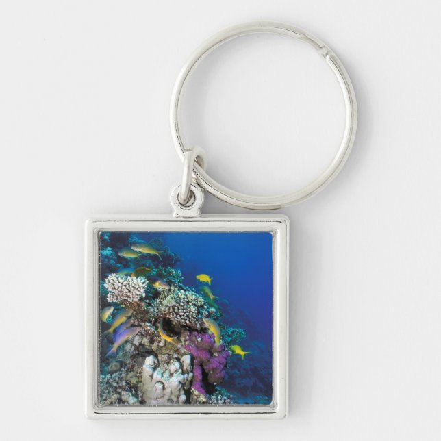 Goatfish Swarm Around Small Coral Keychain (Front)