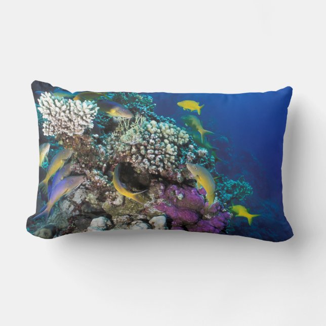 Goatfish Swarm Around Small Coral Lumbar Pillow (Front)